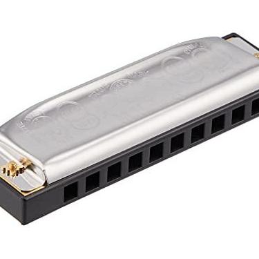 Imagem de Gaita Especial 20 D da Hohner M560036X