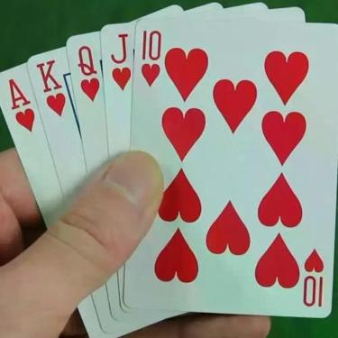 Imagem de Jogos De Baralho Duplo Resistente Lavável 100% Plástico A200 - Home Go