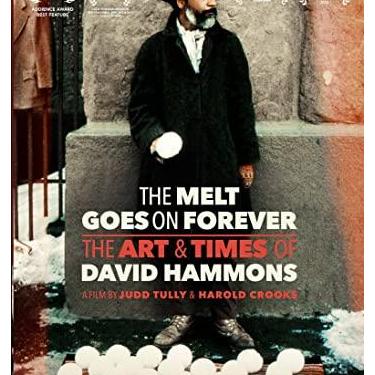 Imagem de MELT GOES ON FOREVER: THE ART & TIMES OF DAVID HAMMONS