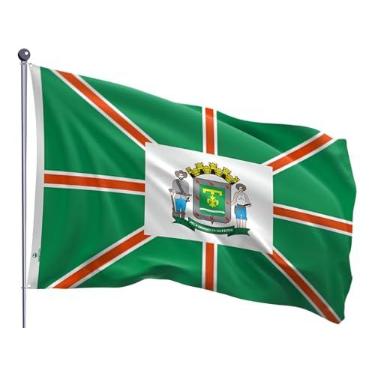 Imagem de Bandeira do município Goiânia Estampada dupla face - 0,70X1,00m