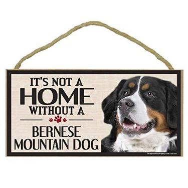 Imagem de Imagine This Placa de madeira para raças de cães Bernese Mountain