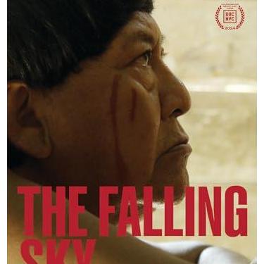 Imagem de The Falling Sky [DVD]
