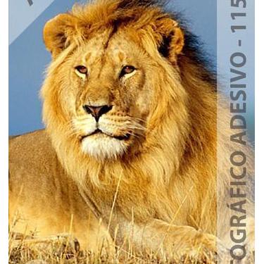 Imagem de Papel Fotográfico A4 Glossy Adesivo 115g 20 Folhas