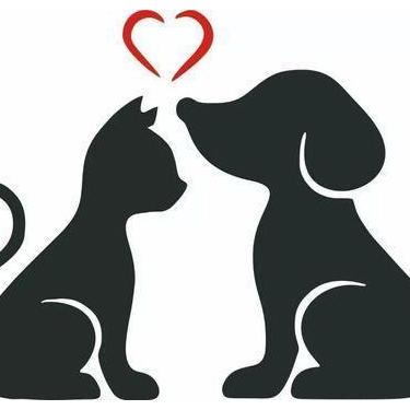 Imagem de Adesivo Amor Gato E Cachorro - SPTS