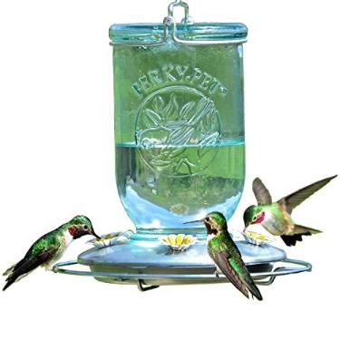 Imagem de Perky-Pet Alimentador de beija-flor de vidro vintage 785-1SR Mason Jar - Decoração de jardim ao ar livre - Capacidade de néctar de 947 ml