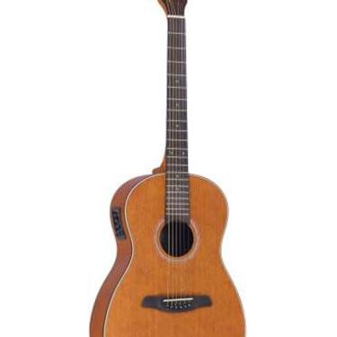 Imagem de VIOLAO STRINBERG AÇO ELETRICO SY25 MGS FOSCO