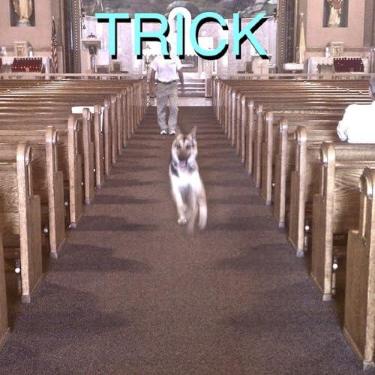 Imagem de Trick [LP With Bonus 7-Inch]