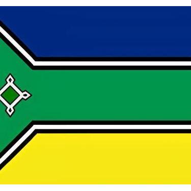 Imagem de Adesivo Resinado Bandeira do Amapá 4x6cm SPTS