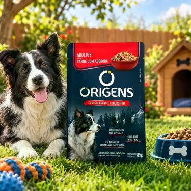 Imagem de Kit 18 Sachês Origens 85g Para Cães Adultos Sabor Carne Ração Úmida