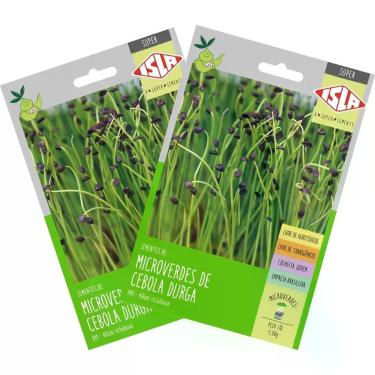 Imagem de 2X Sementes Brotos Microverdes de Cebola Durga Super ISLA