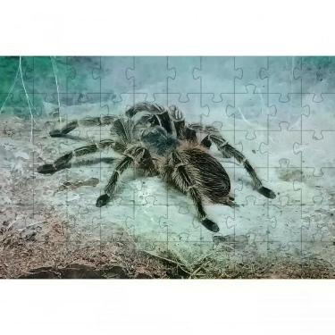 Imagem de Quebra-cabeças Educativo Aranha de 60 Peças para Memória e Concentração Indicado para Idosos Coleção Tea e Amor
