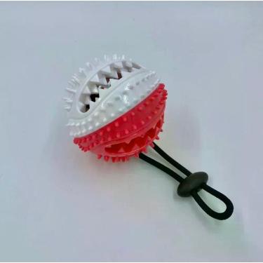 Imagem de Bola Limpadora De Dentes Porta Petisco - Rico Importadora