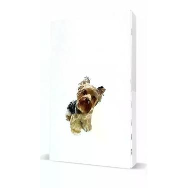 Imagem de Antipulgas Revolution 12% Cães 2,6 A 5kg C/3 Pipetas - Congratulations