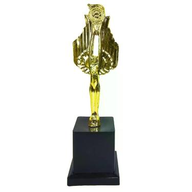 Imagem de Troféu Para Todas Modalidades Completo Até 26cm Ref.05 - 1 Fit, Ouro, 