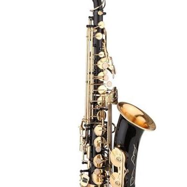 Imagem de Saxofone Preto Tinta E-Flat Sax Compatível com Aluno Iniciante Jogador Intermediário Saxofone alto EB de latão com boquilha Estojo de transporte Pano de limpeza Escova Correias de sax
