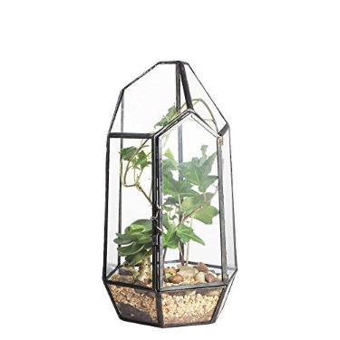 Imagem de NCYP Vaso pequeno de terrário de vidro geométrico irregular de 13 cm x 13 cm x 22 cm com porta - Recipiente de exibição de mesa doméstico para musgo, samambaia - decoração interna transparente, preto