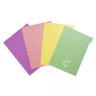 Imagem de Divisórias Pastel Grande Caderno Inteligente Cidg4003